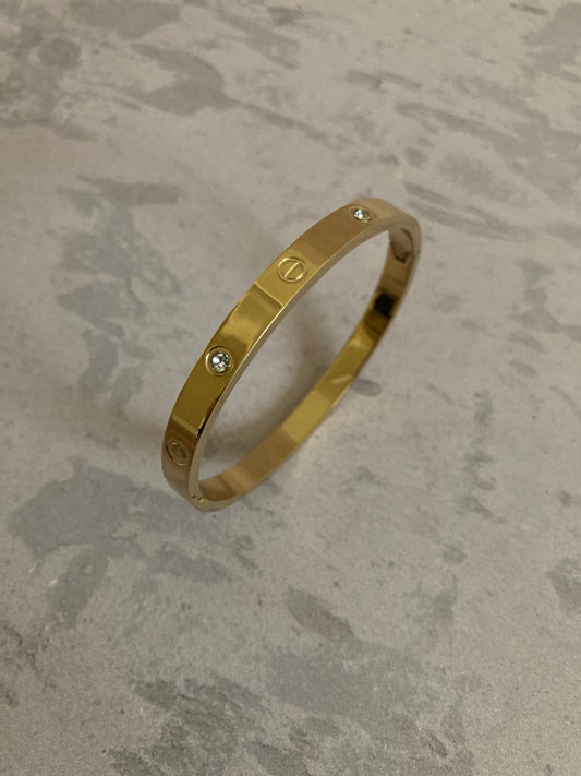 Stainless Steel Engraved Gold Zirconia Bangle (ST821)